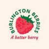 Burlington Berries Pty Ltd Logo