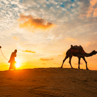 desert safari sharjah Logo