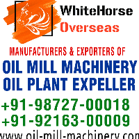 WhiteHorse Overseas Logo