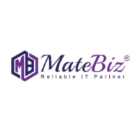 Matebiz Pvt. Ltd. Logo