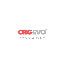 OrgEvo Consulting Pvt. Ltd. Logo