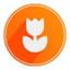 The Dutch - Balkan Business Hub Logo