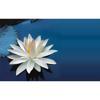 LAWYERS ANTEVSKI Corporate, commercial law, IP / European patent Law & debt collection Logo
