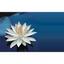 LAWYERS ANTEVSKI Corporate, commercial law, IP / European patent Law & debt collection Logo