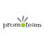 Promo Team MK Logo
