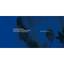 SMecoMP Interreg Balkan Mediterranean Programme-North Macedonia Logo