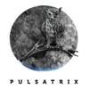 Pulsatrix Ltd Logo