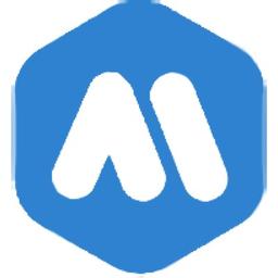 Megasoft.mk Logo