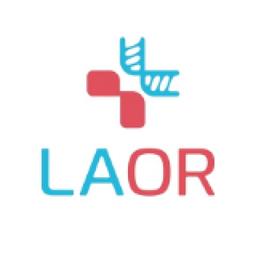 LAOR Medical Logo