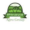 Agro Group Pirava Logo