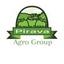 Agro Group Pirava Logo