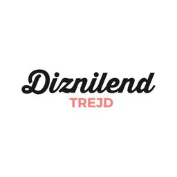 Diznilend Trejd Logo