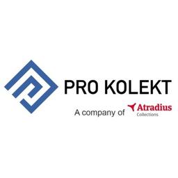 Pro Kolekt DOOEL Skopje Logo