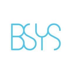 BSysGroup ltd Logo