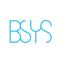 BSysGroup ltd Logo