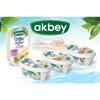 Akbey Logo