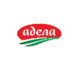 Adela Ltd. Logo