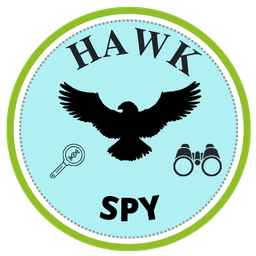 Hawk Spy Investigators Logo