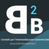 B2B International Group - B2B ITALIA Srl International Business Contacts Logo