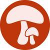 Bio Em Di Bulgaria Logo