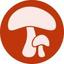 Bio Em Di Bulgaria Logo
