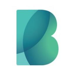 Bigbank Bulgaria Logo