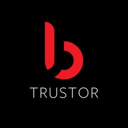 btrustor.defi Logo