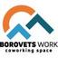 borovetswork.com Logo