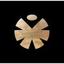 Bulgarian Angels Club Logo