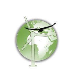 Eco Wind Projection Logo