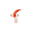 Notary Plus More Logo