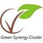 Green Synergy Cluster Logo
