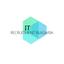 IT Recruitment Bulgaria Logo