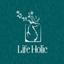 LifeHolic Ltd. Logo