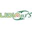 Lidia Tours LTD Logo