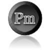 Partner Manager Logo