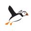 PUFFINS Travel Ltd. Logo