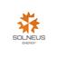 SOLNEUS Logo