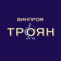 VINPROM-TROYAN AD Logo