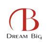 Dream Big Logo