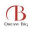 Dream Big Logo