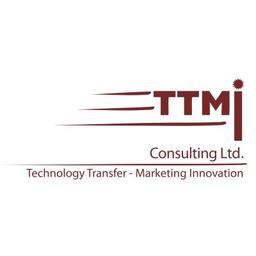 TTMI Consulting Ltd. Logo