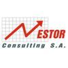 Nestor Consulting S.A. Logo