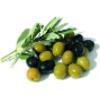 OliveOil.gr.com Logo