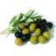 OliveOil.gr.com Logo