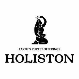 Holiston Logo