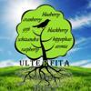 Ulterfita-Superfoods Logo