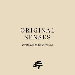 Original Senses Logo