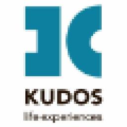 Kudos Life Experiences Logo