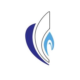 Blue Sea Power Energy Logo